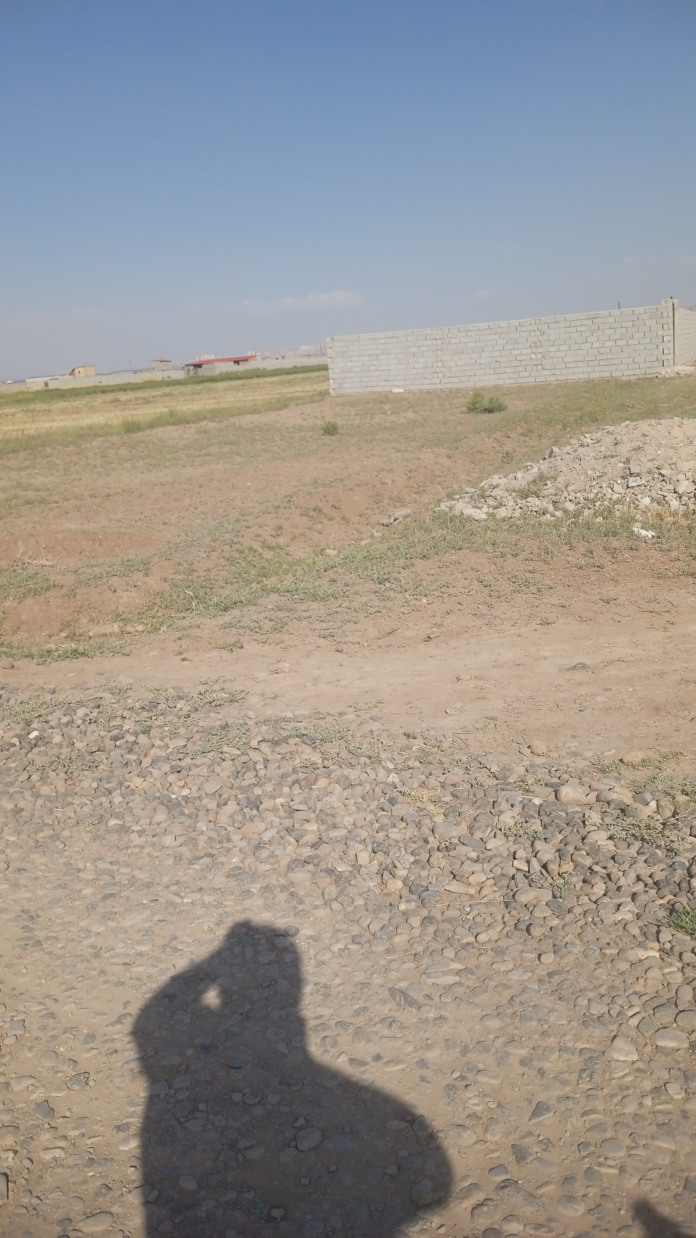 تصویر ملک
